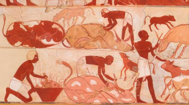 image7.jpg