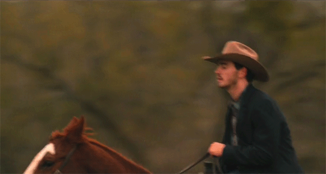 image1.gif