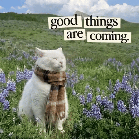 image1.gif