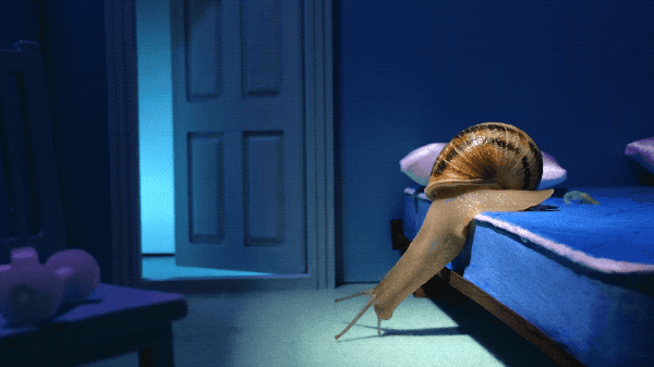 image2.gif