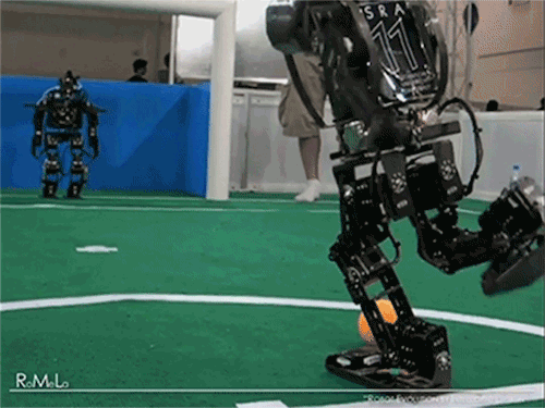 image4.gif
