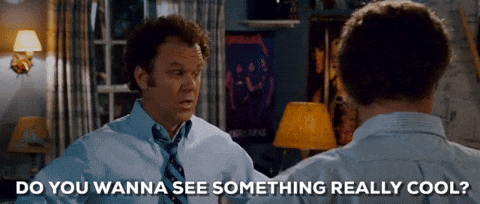 image5.gif