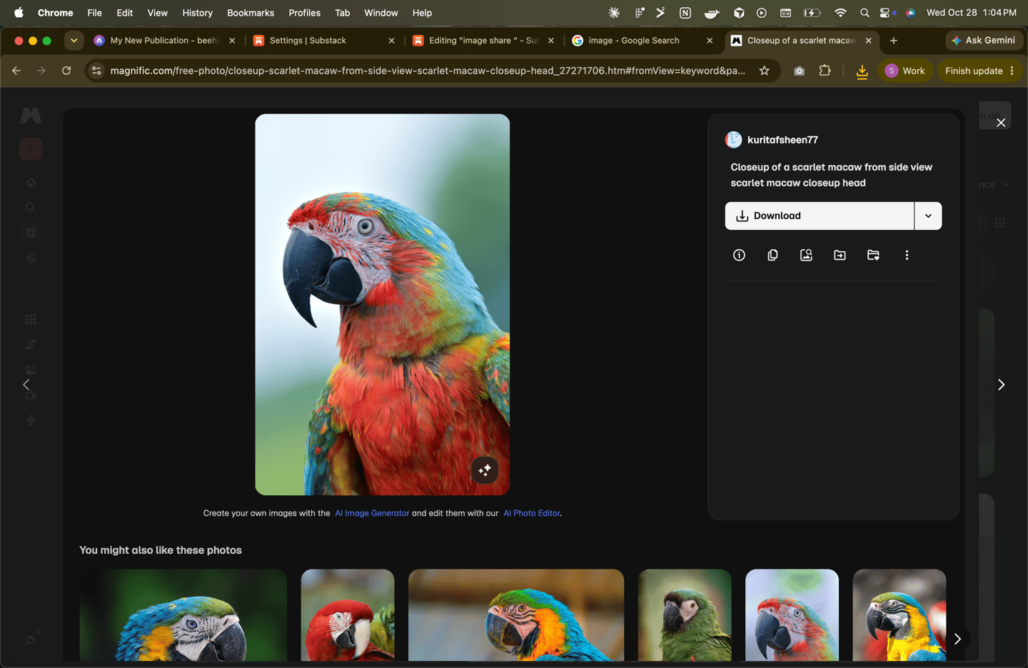 Screenshot 2026-10-28 at 1.04.51 PM.png