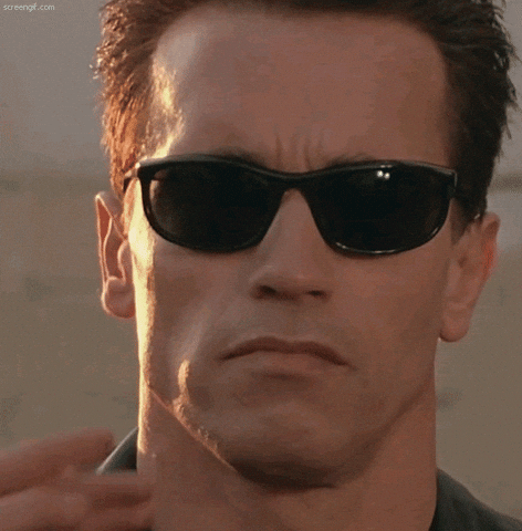 something terminator GIF (1).gif