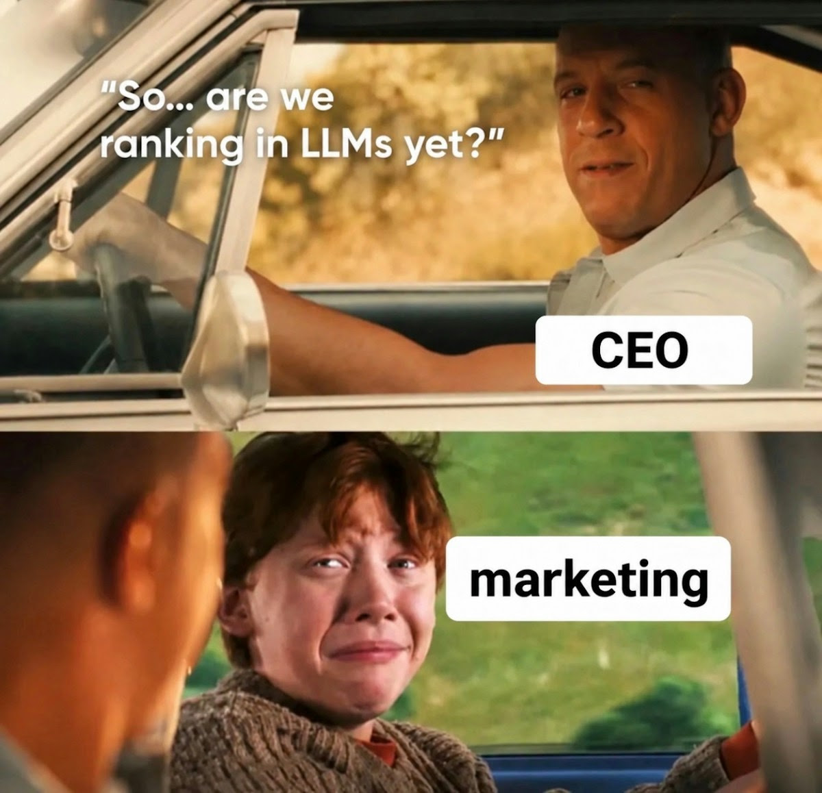 tmmmeme.jpg
