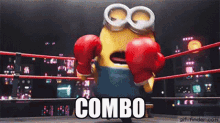 image3.gif