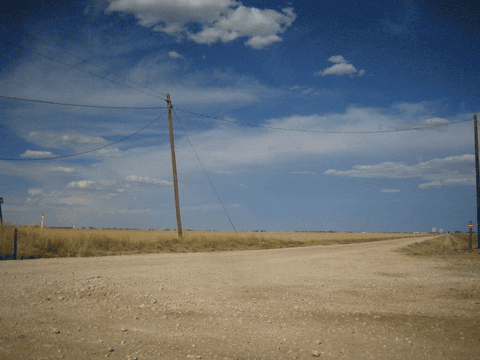 image1.gif