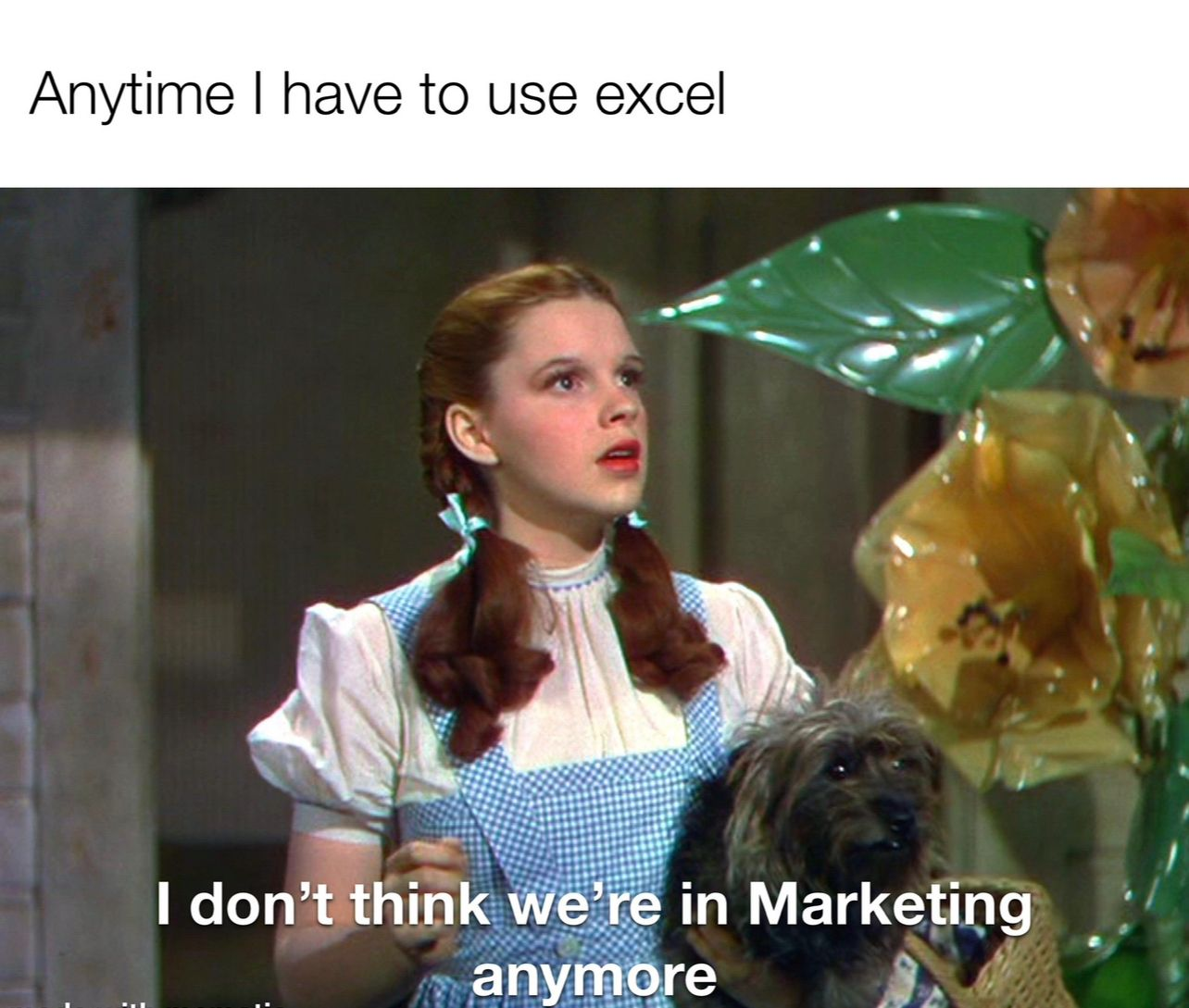 image5.png