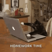 homework.gif