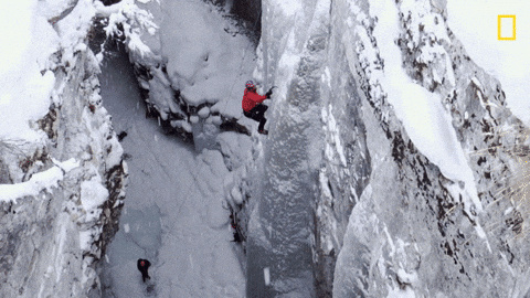 image4.gif